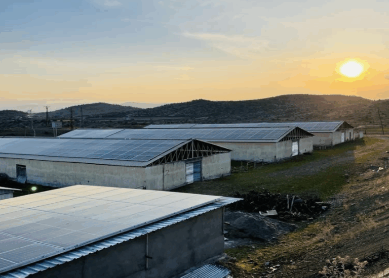 BSM DAYANIKLI TÜKETİM MALLARI